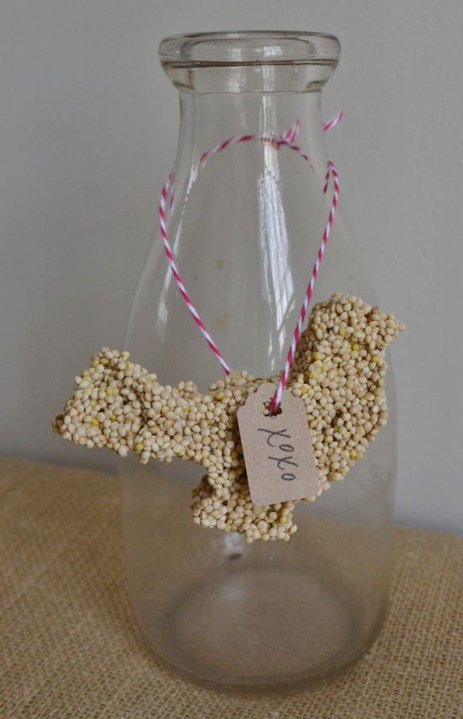 DSC_0020 DSC 0020 660x1024 birdseed valentines