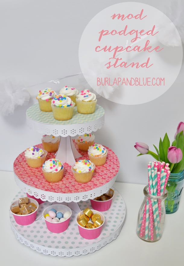 Cupcake Holder DIY (How to Make)