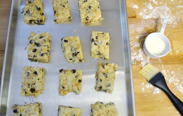 chocolate chip scones