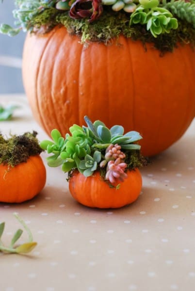 fall craft ideas