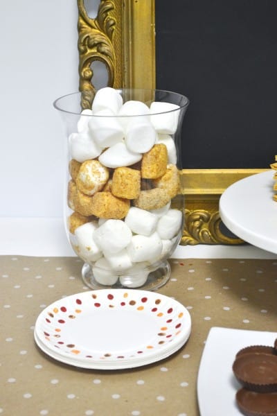 s'mores bar