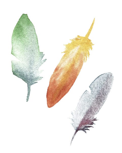 feather art