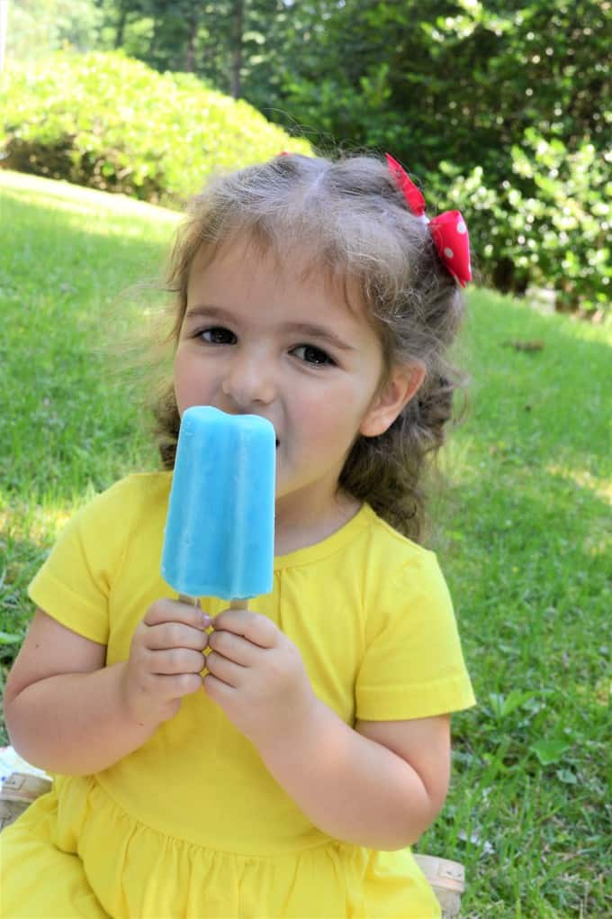 Enjoying Summer Simply With Budget Saver Twin Pops