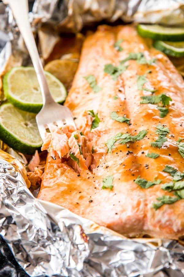 Salmon Recipes {Over 30+ Simple Salmon Recipes to Try}