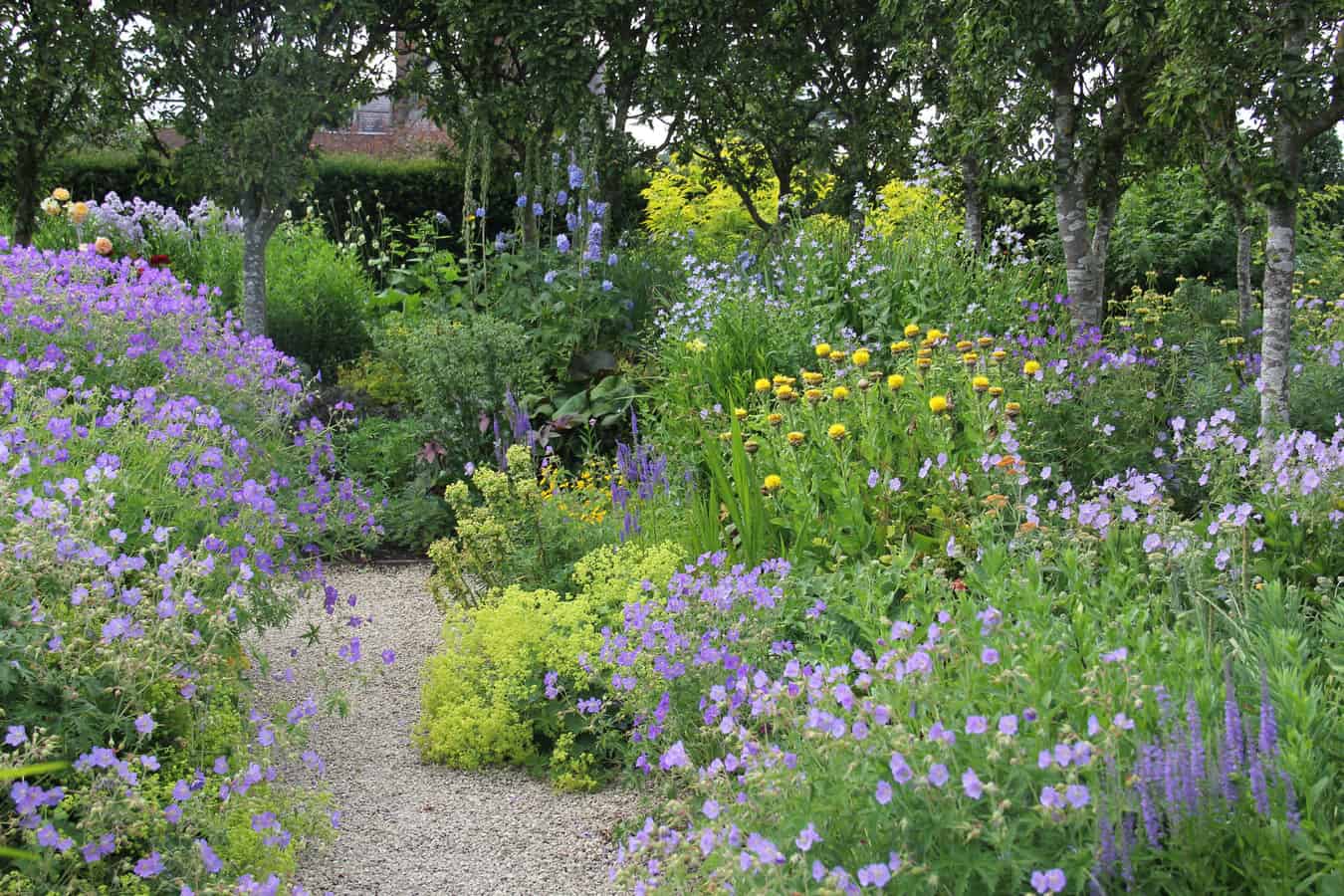 Gravel Garden Inspiration and Ideas