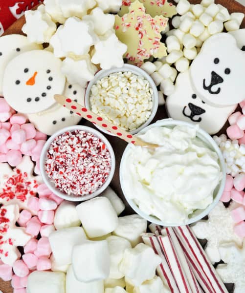 Hot Chocolate Toppings Board {A Hot Cocoa Dessert Board Kids and Adults ...