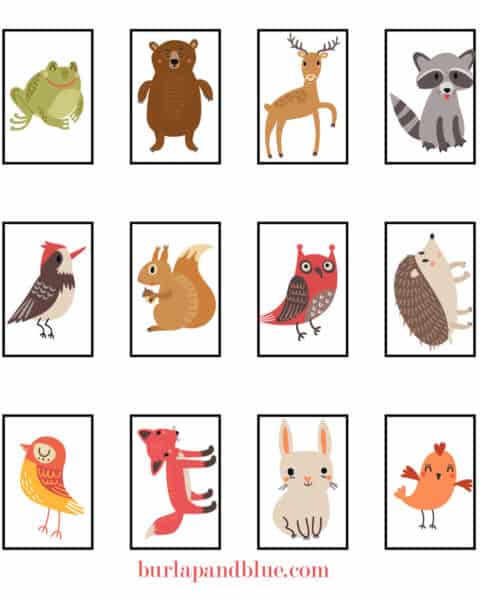 Free Woodland Animals Matching Game