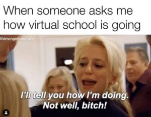 Distance Learning Memes {The Most Relatable Memes on Distance Learning}