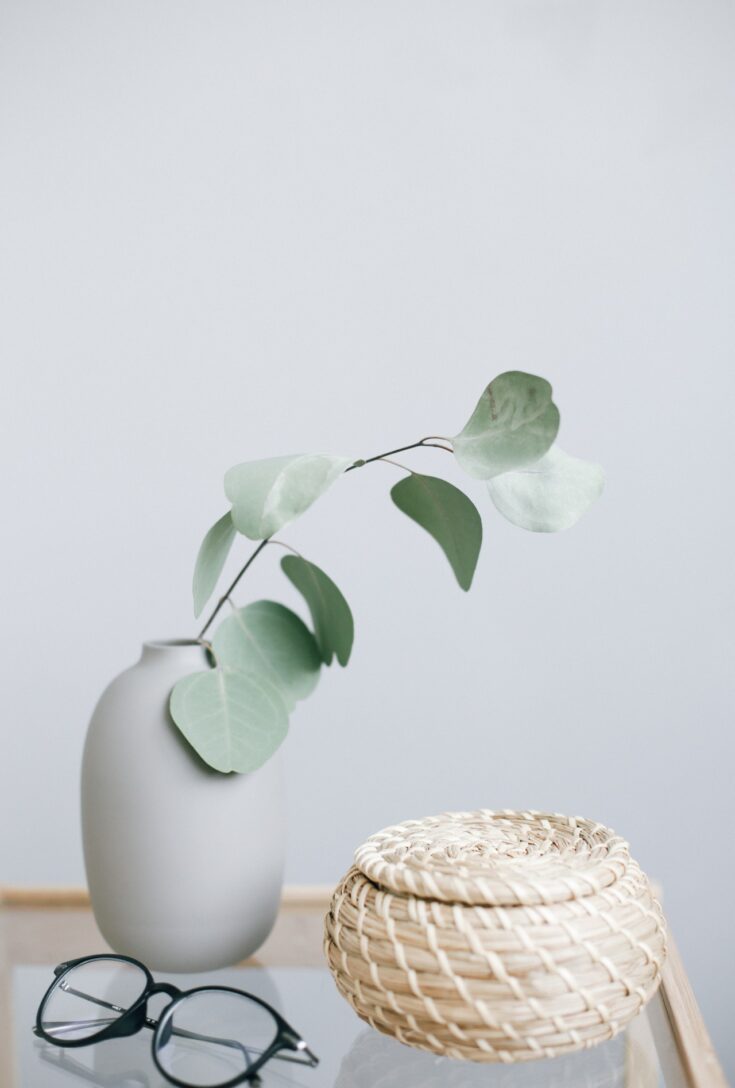 Drying Eucalyptus Two Ways To Preserve Eucalyptus Branches   Pexels Ann Nekr 5797938 735x1088 