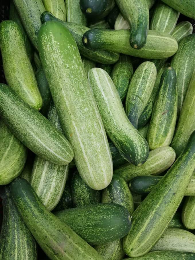 Trellis for Cucumbers (Trellis Ideas for Your Backyard Garden)