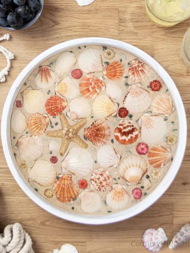 Ideas for Displaying Seashells {Clever Seashell Display Ideas} Story